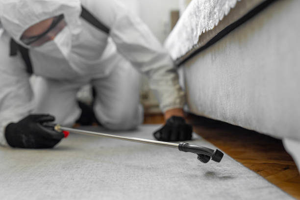 Professional Bed Bug Control technician working in Oskaloosa, KS