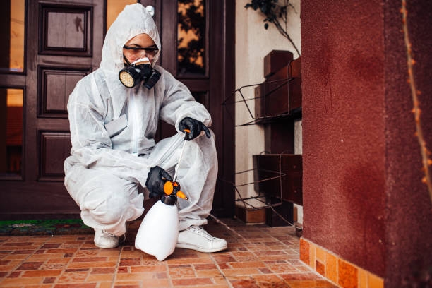 Reliable Bed Bug Control contractor in Oskaloosa, KS by Nex Pest Control