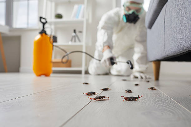 Trusted Termite Control service in Oskaloosa, KS - Nex Pest Control