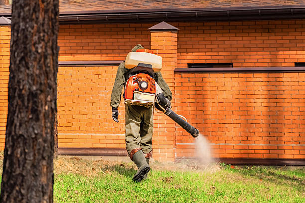 Trusted Rodent Control service in Oskaloosa, KS - Nex Pest Control